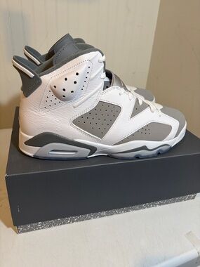 Jordan 6 Retro (Cool Gray) BNIB. 2023 Release!! CT8529-100
